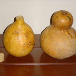 gourds